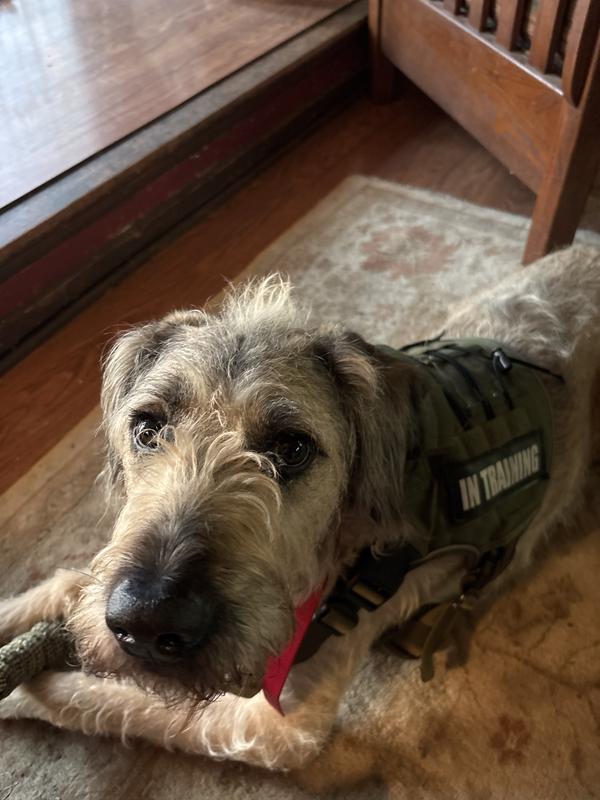 It’s supposed to be under neck, but wanted to show it