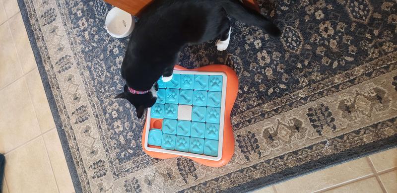 Nina Ottosson Challenge Slider Outward Hound Challenge Slider Dog Puzzle  Toy｜TikTok Search