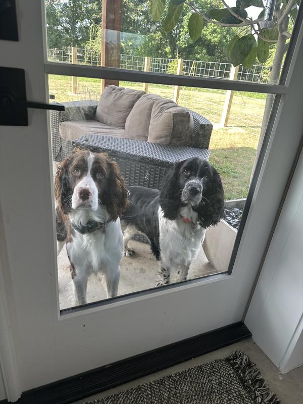 PATPET P680 Lightweight Remote Dog Training Collar, 1 count, Sky Blue