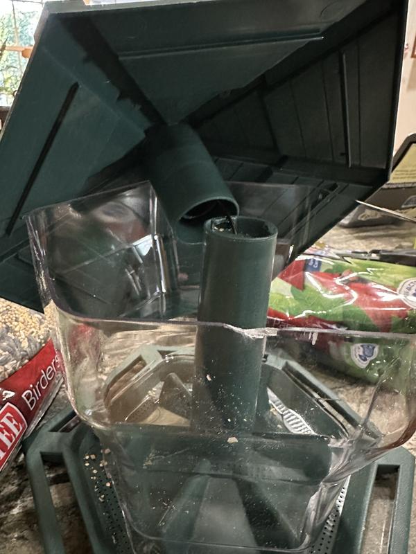 Chip and crack on rim