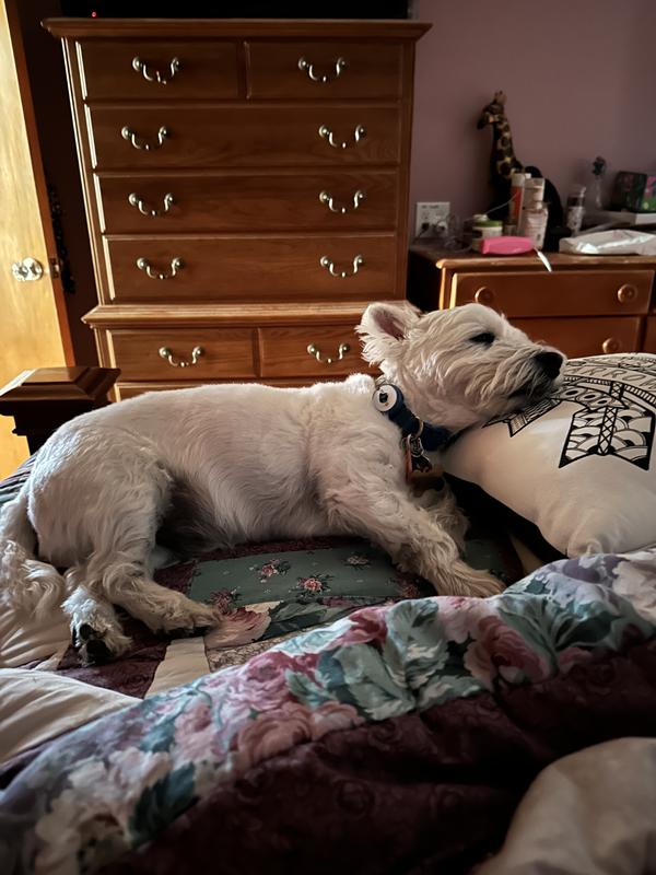 This is where I found him when I took my break today.