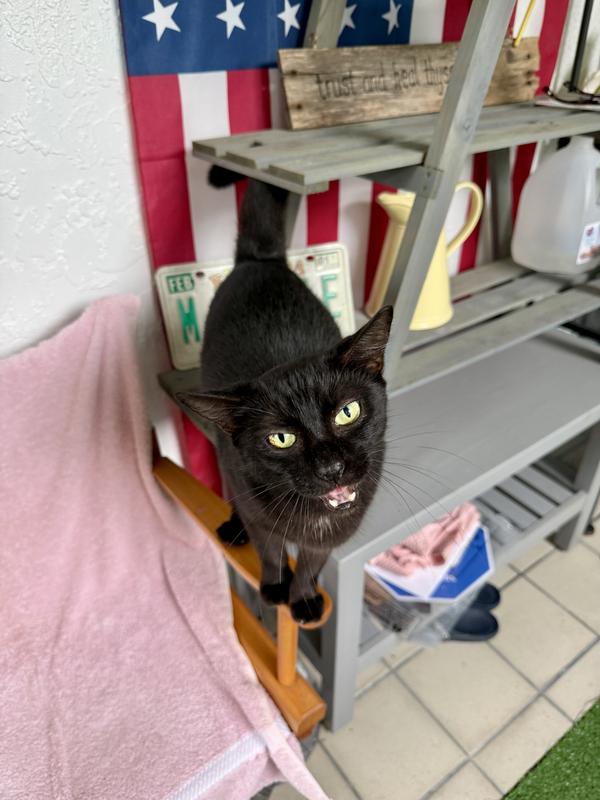 Just one of our many out door Rescues...