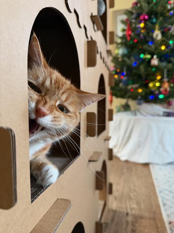 Merry Christmas, get away from my castle.