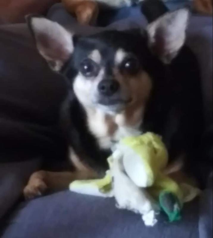 Feeling better, enough to play