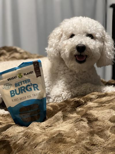 Bright Planet Pet Better Burg'r Plant-Based Dog Treats, 6-oz bag