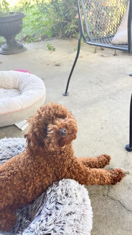 Funny!! Highly entertaining