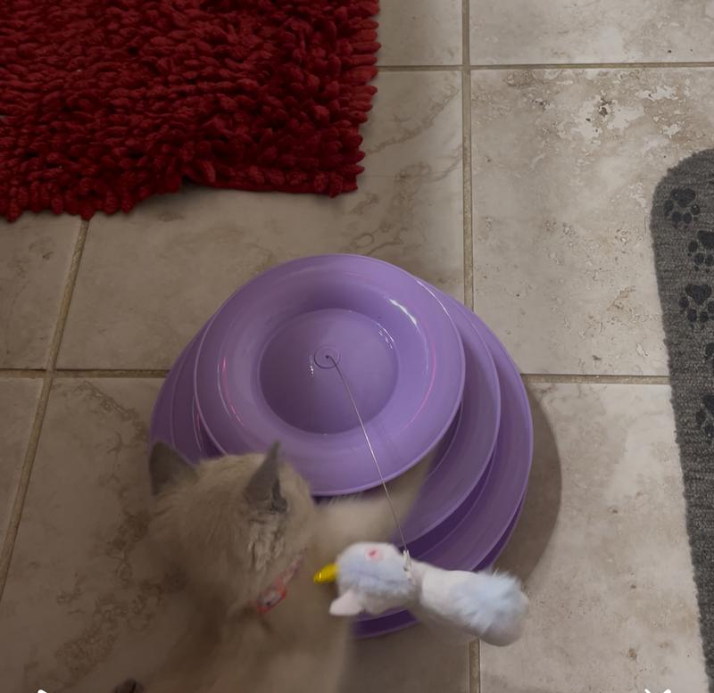 I got you now sucker !! You can’t get away from me that easy !