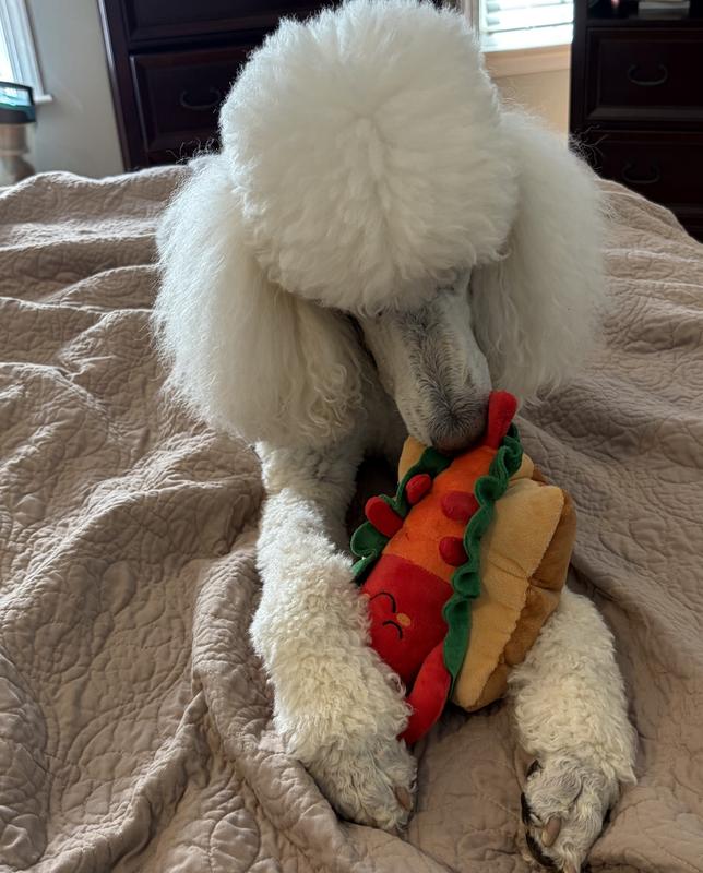 Brodie loves a lobster sandwich!