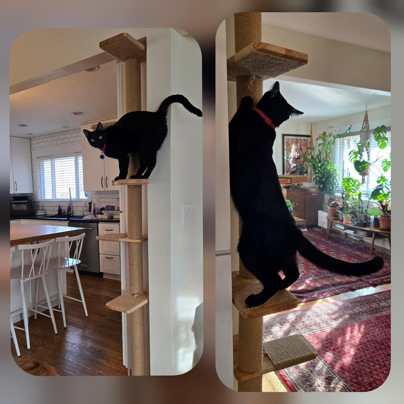 FUKUMARU 81-in Jute Rope 5-Tier Cat Tree with Scratching Posts, Brown ...