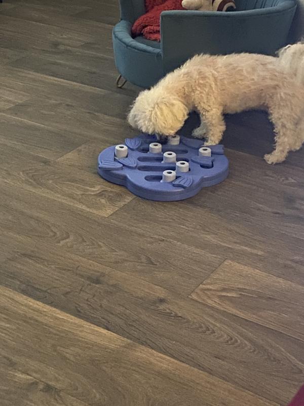 She loves it