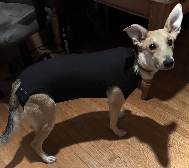 Surfer Girl 🏄‍♀️