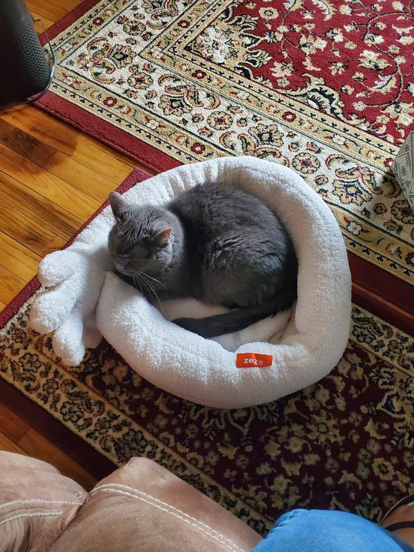 I just unboxed it and she jumped right in