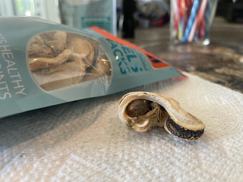K9 NATURAL Healthy Snacks Green Mussels Freeze Dried Dog Treats