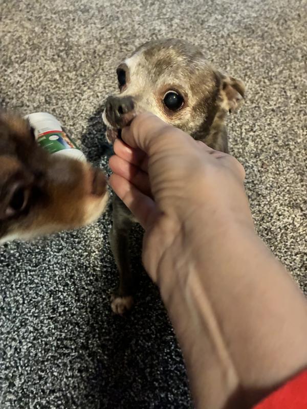 His sister wants to try them too!