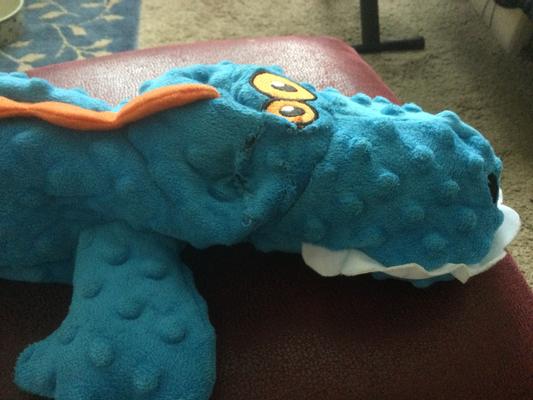 goDog Gators Squeaky Plush Dog Toy: $8, 'Almost Indestructible