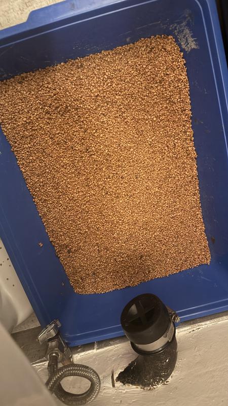 Most healthy litter that I tried