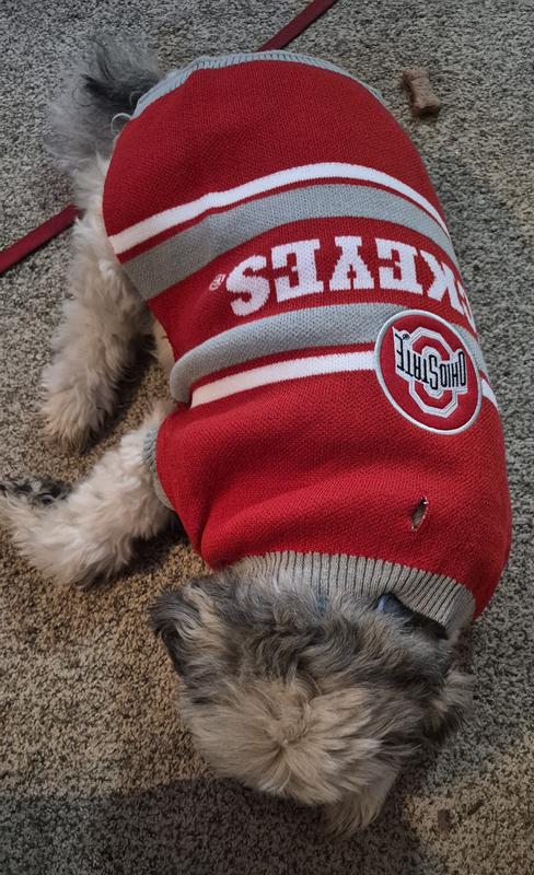 PETS FIRST NCAA Ohio State Dog & Cat Sweater, Medium - Chewy.com