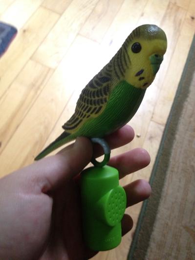 Plastic parakeet clearance buddy