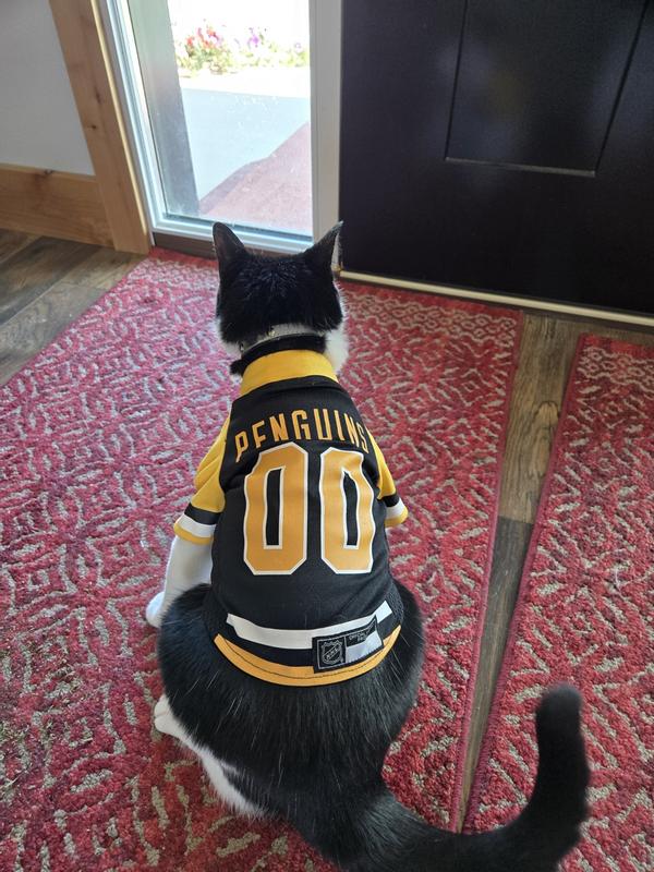 Tuxedo cat wearing a Penguins hockey jersey view from the back.