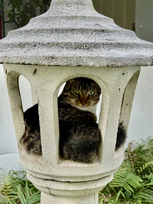 Just one of our many out door Rescues...