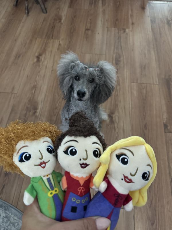 Disney Halloween Hocus Pocus' Sanderson Sisters Plush Squeaky Dog Toy