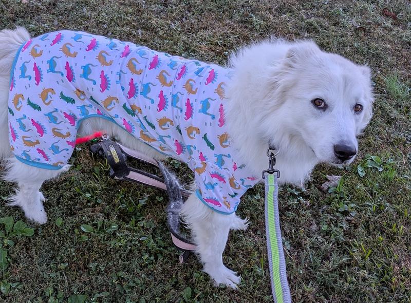 Artie, the Great Pyr, in her PJs (XXX-Large)
