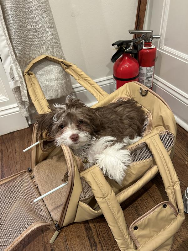 Frisco Soft-Sided Airline Compliant Dog & Cat Carrier