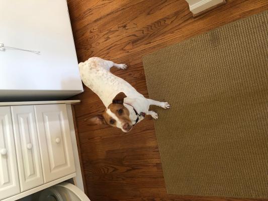 Where is breakfast?