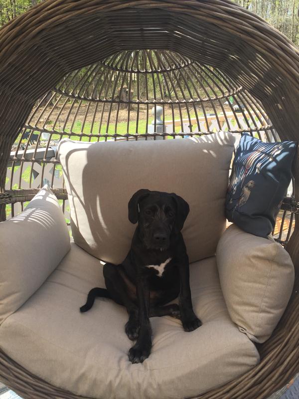 Gabriel waiting for his treats