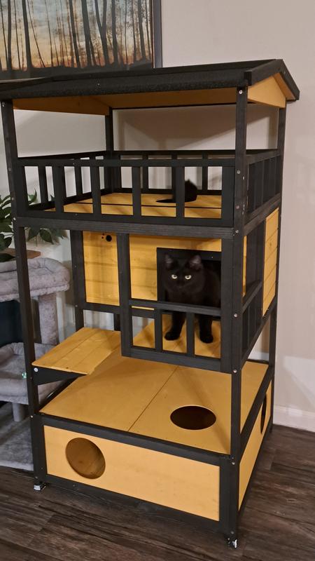 My cat Althena loves her new shelter.  There is plenty of places to hide and feel secure from the outdoor weather.