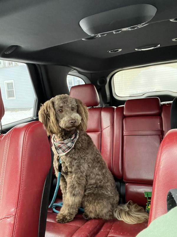 Letti or “Noodle doodle”