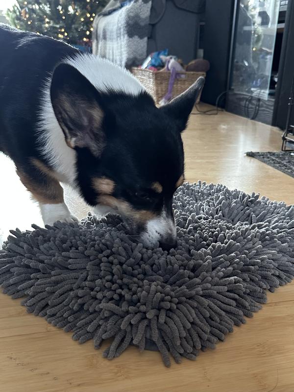 Scared of toys no problem