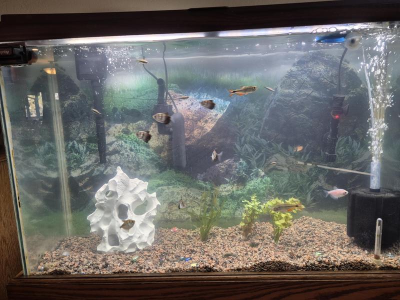 after a week of UV filtering