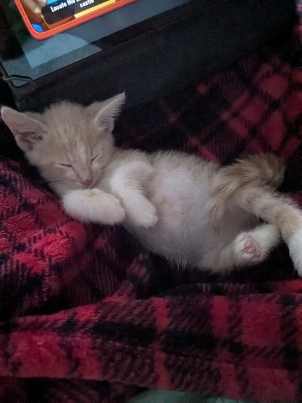 Stormy after a good meal