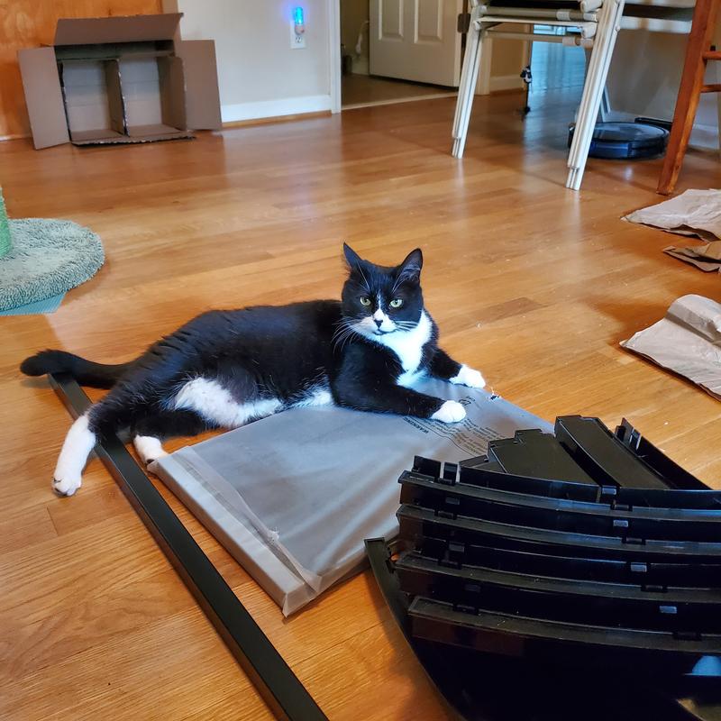 ONE FAST CAT Gen Cat Exercise Wheel, Black with Black Felt Pads