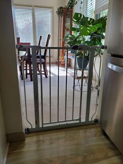 Have to keep that puppy away from all my plants! Note: think about how you want that gate to swing before you secure it. I had to change mine.