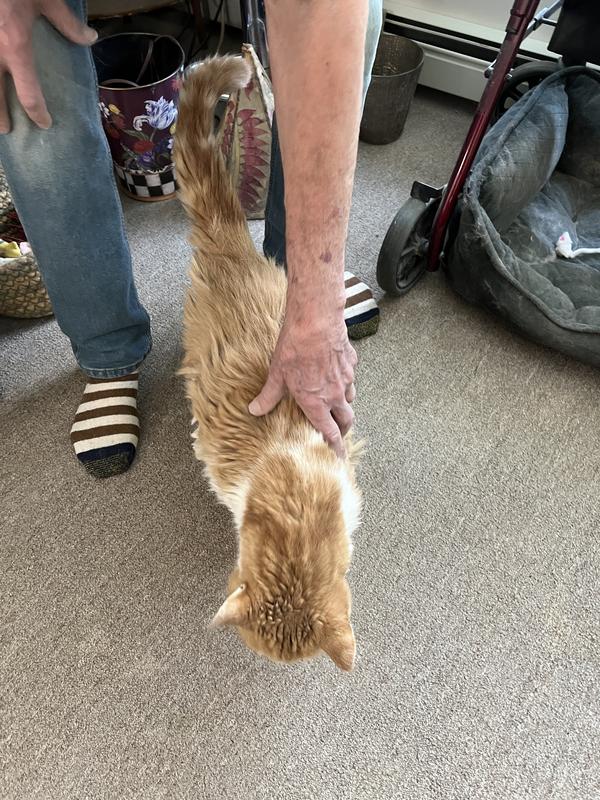 From start to half way done. Waiting on the owner to finish up Baby.