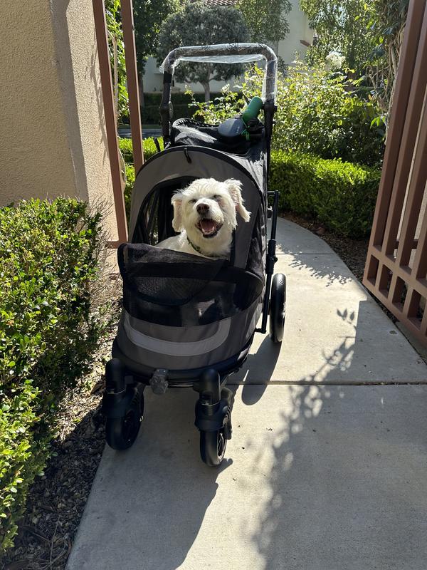 uppababy cruz open box UPPAbaby