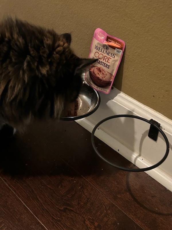 My senior cat loves the pate!