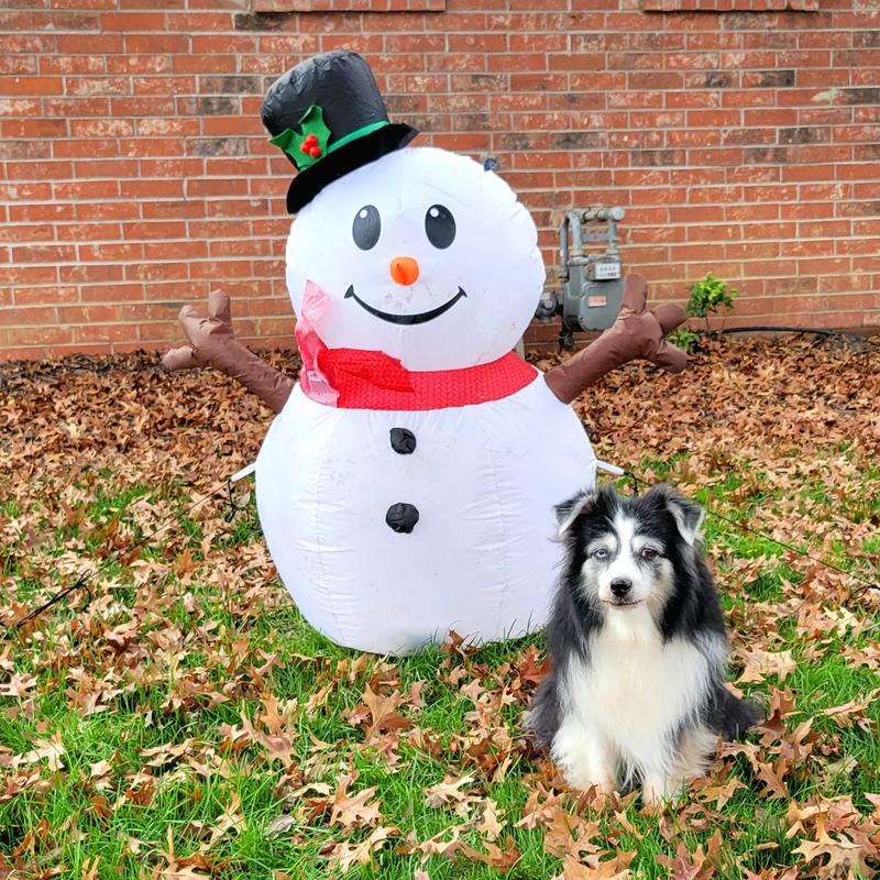 14-year-old still going strong on Sojos.