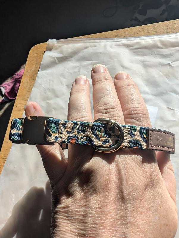 Beckett Collar is Beautiful!