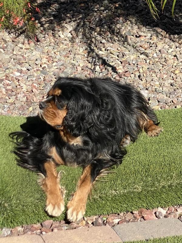 Looking shiny fresh and clean enjoying the sun!