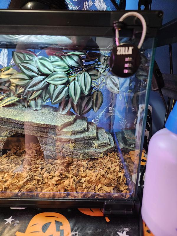 It comes with a lock as well!