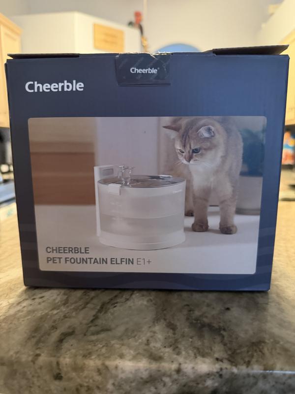 CHEERBLE E1+ Stainless-Steel Cat Fountain, 2-L, White - Chewy.com