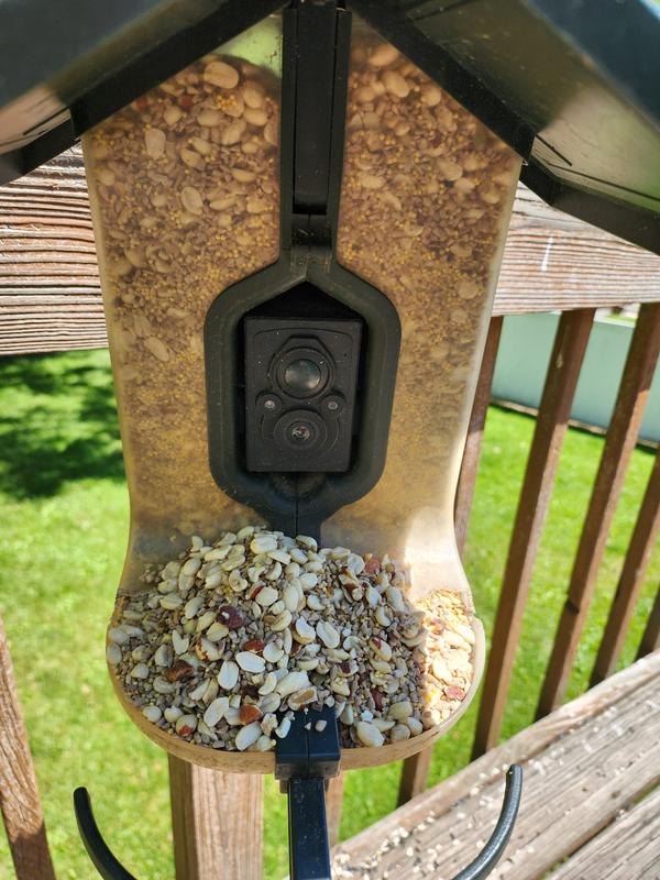 Feeder full of yummy food for the birds