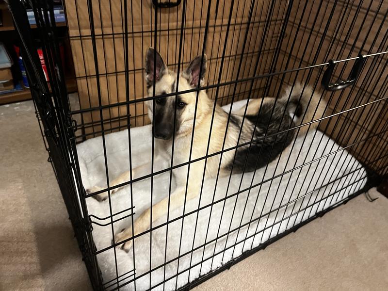 Great size with a reasonable price