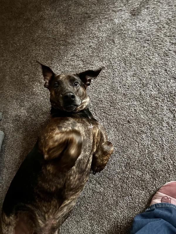 Beaubeau being his silly self.