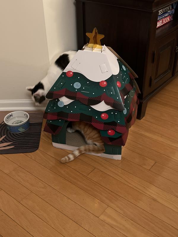 His brother joined him so he