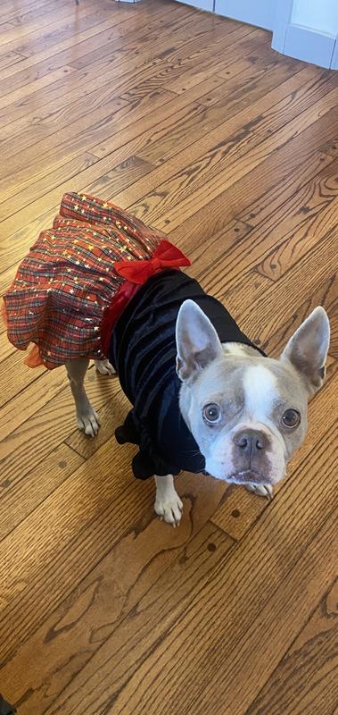 Perfect Holiday Dress!