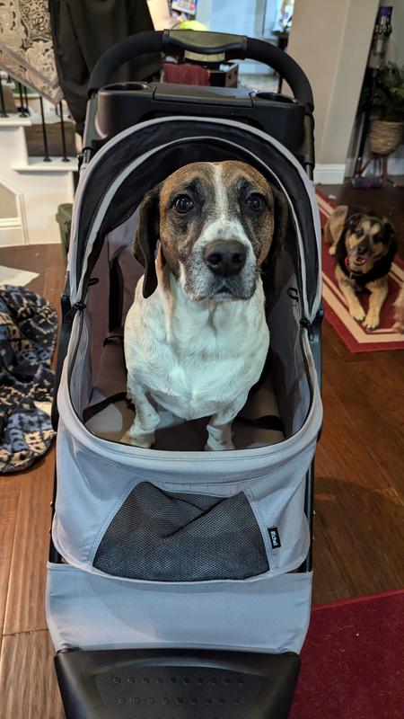 What are we doing mom?